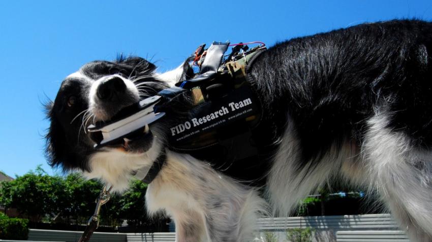 FIDO Project FIDO Project